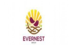 Evernest Perfect Infra